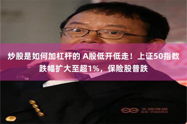 炒股是如何加杠杆的 A股低开低走！上证50指数跌幅扩大至超1%，保险股普跌