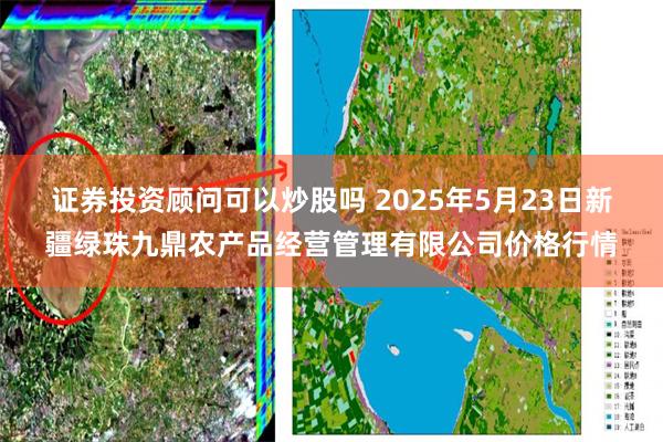 证券投资顾问可以炒股吗 2025年5月23日新疆绿珠九鼎农产品经营管理有限公司价格行情